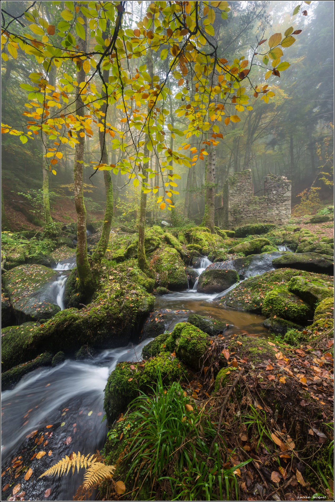 Quand la nature reprend ses droits.