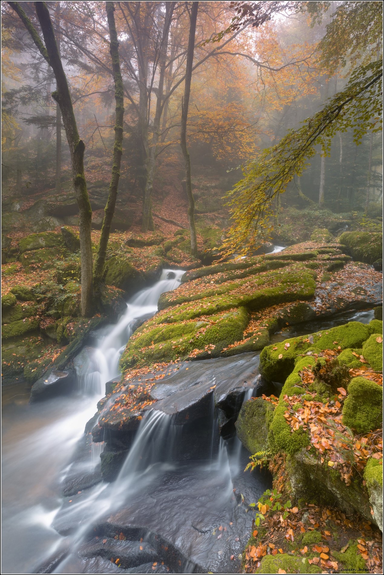 D'eau et de couleurs...