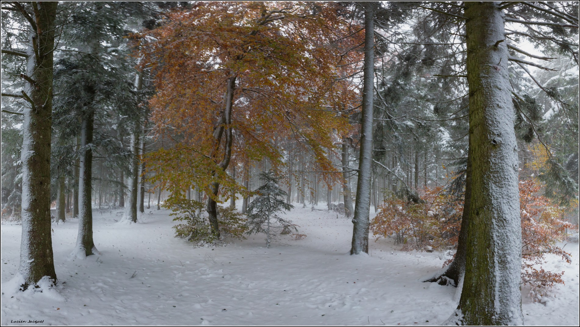 Quand l'automne rencontre l'hiver.