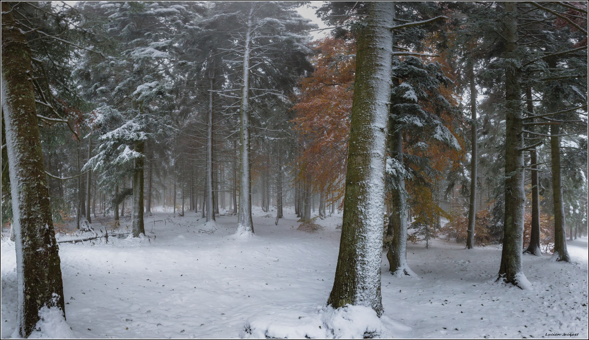 Quand L'automne et l'hiver s'unissent...