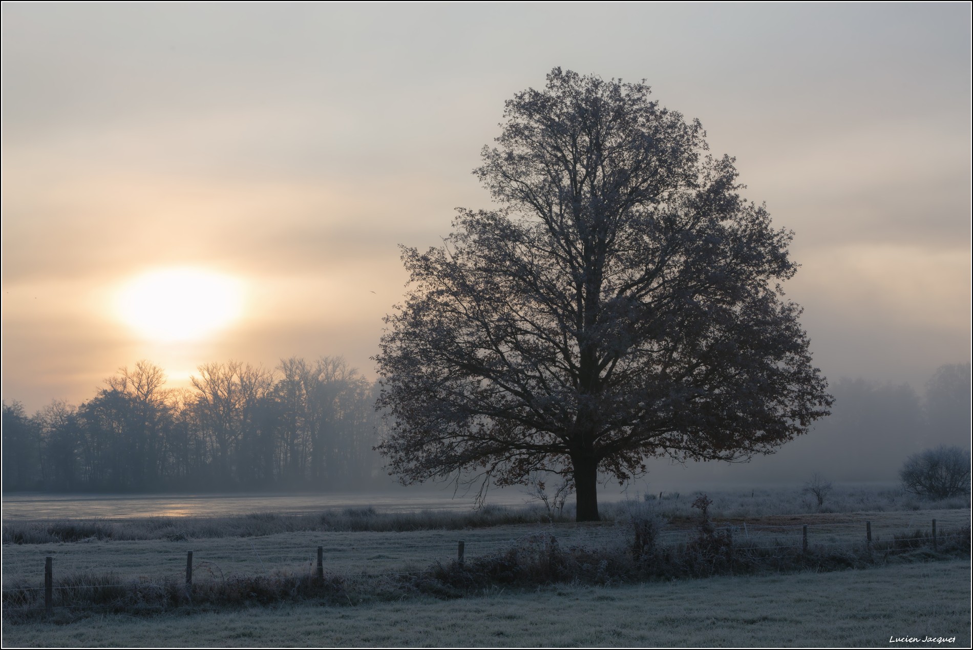 Timide soleil d'hiver...