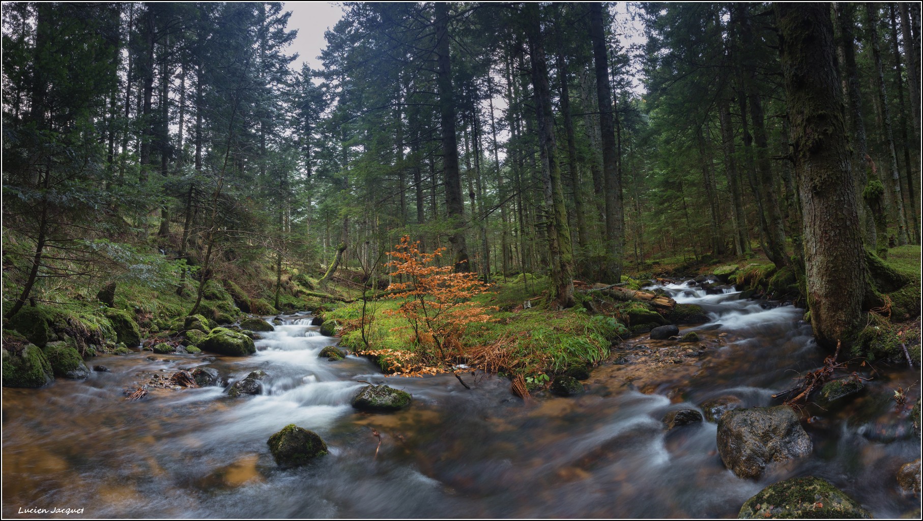 Confluence...