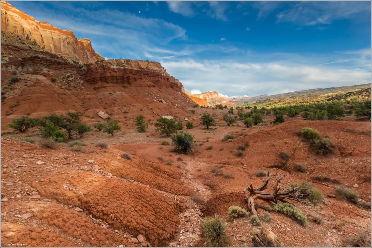 Capitol reef national park