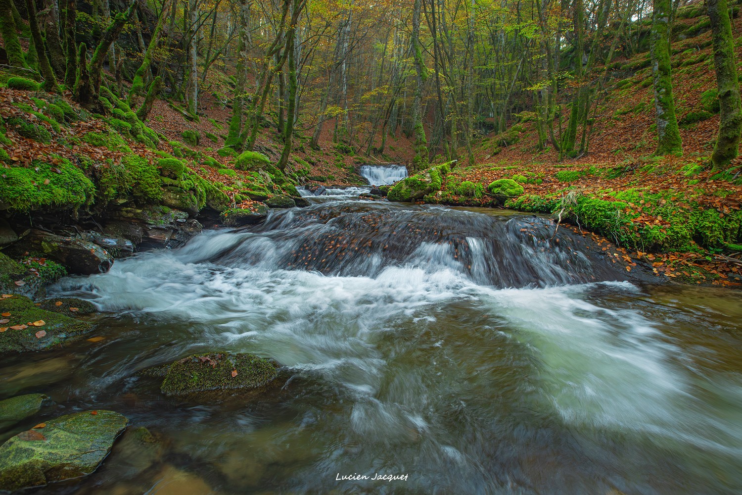 Quand la rivière pleure...