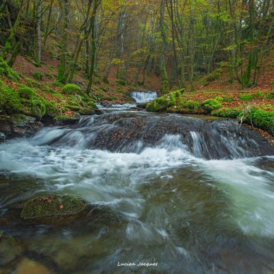 Quand la rivière pleure...