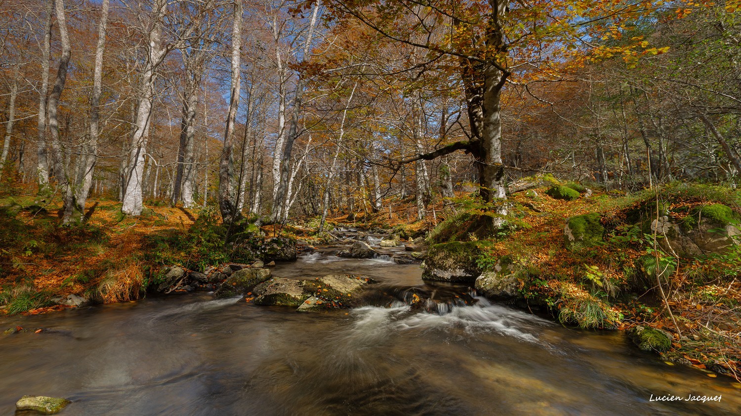 Derniers feux de l'Automne...