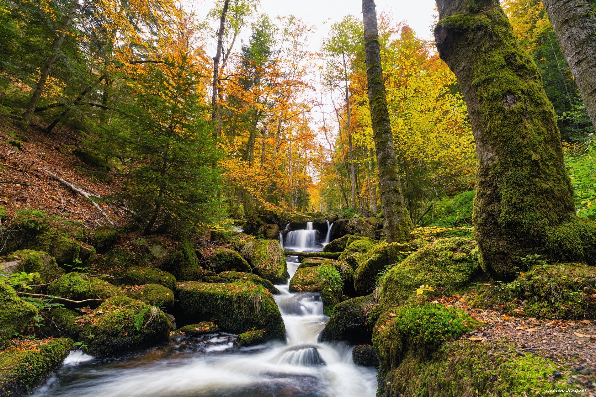 L'eau et le feu.