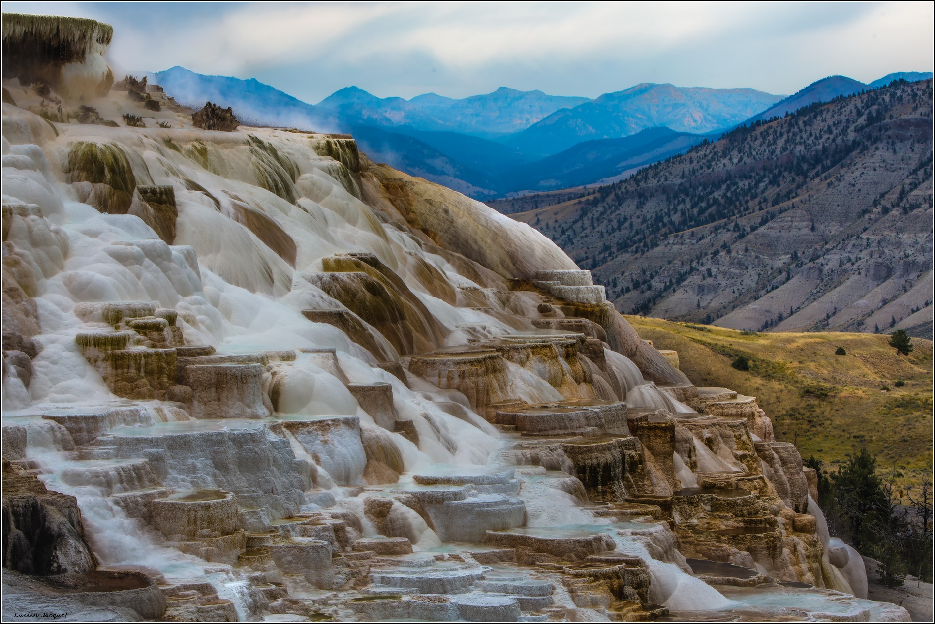 Mammoth Hot Springs (détails)