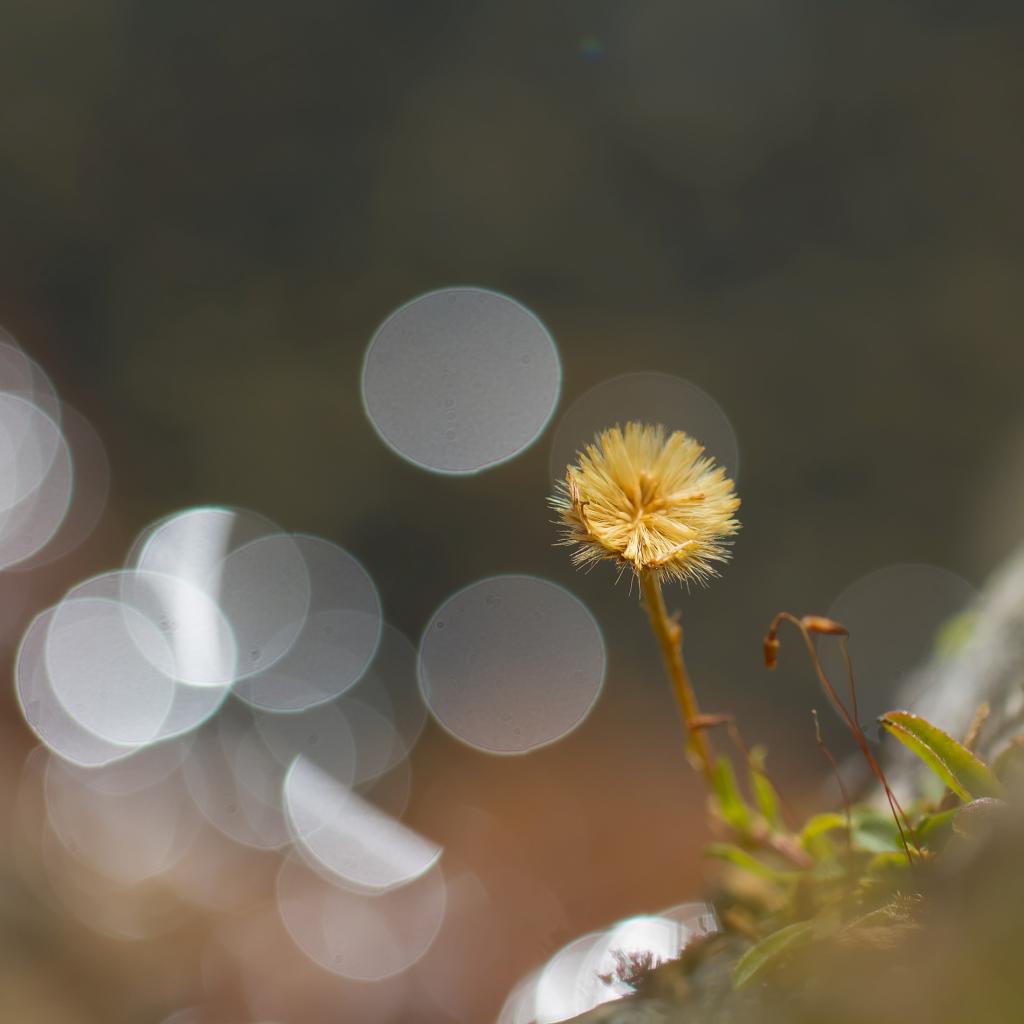 IMG_7892-1-BorderMaker