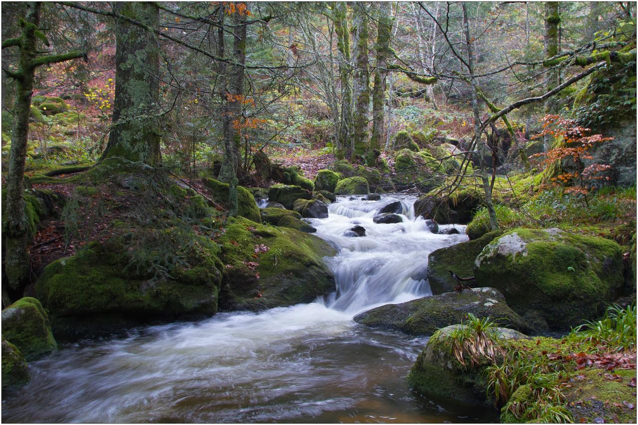 Torrent de Pierre brune