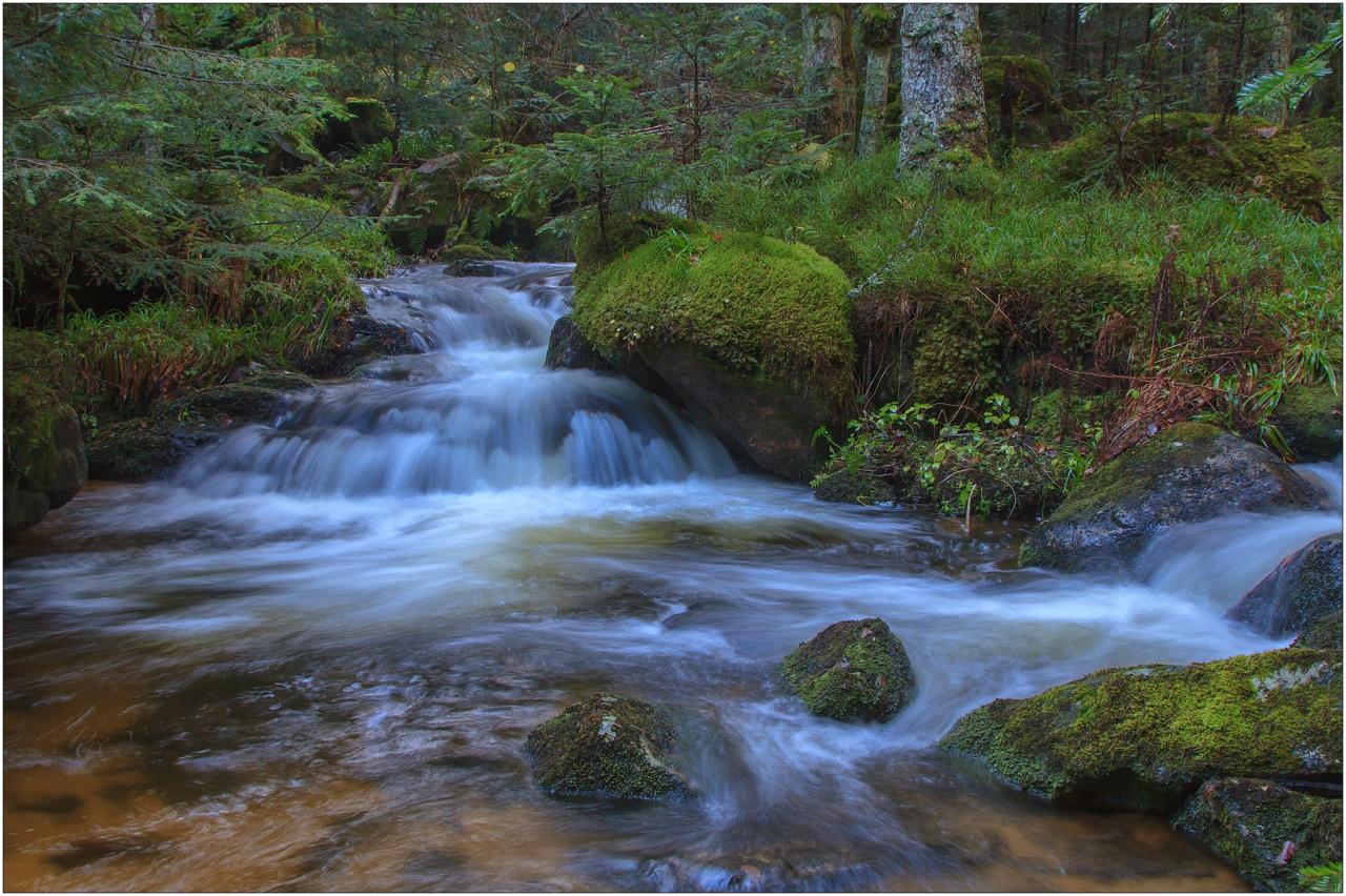 Torrent de Pierre brune